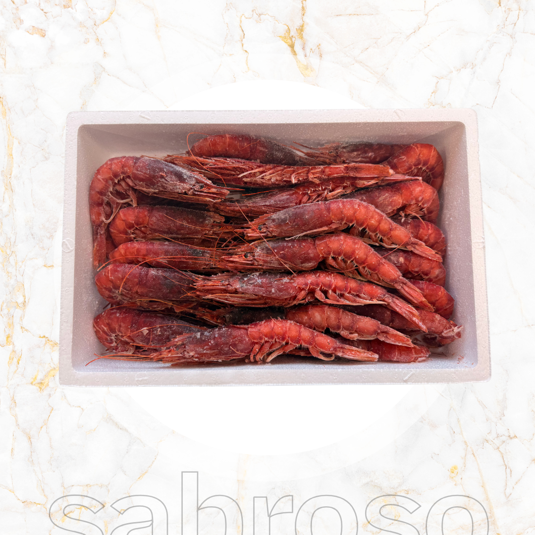CARABINEROS gamba's