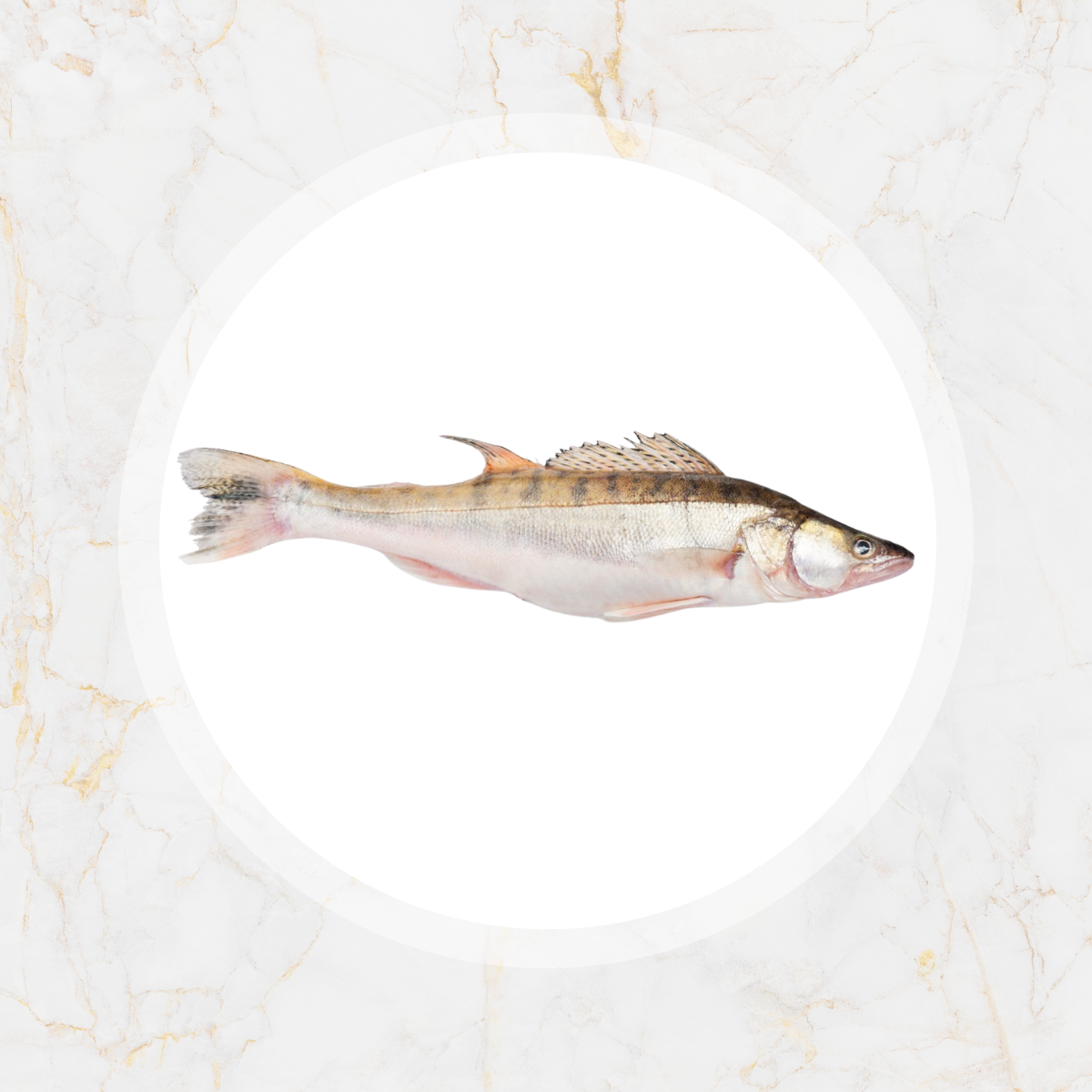 SNOEKBAARS