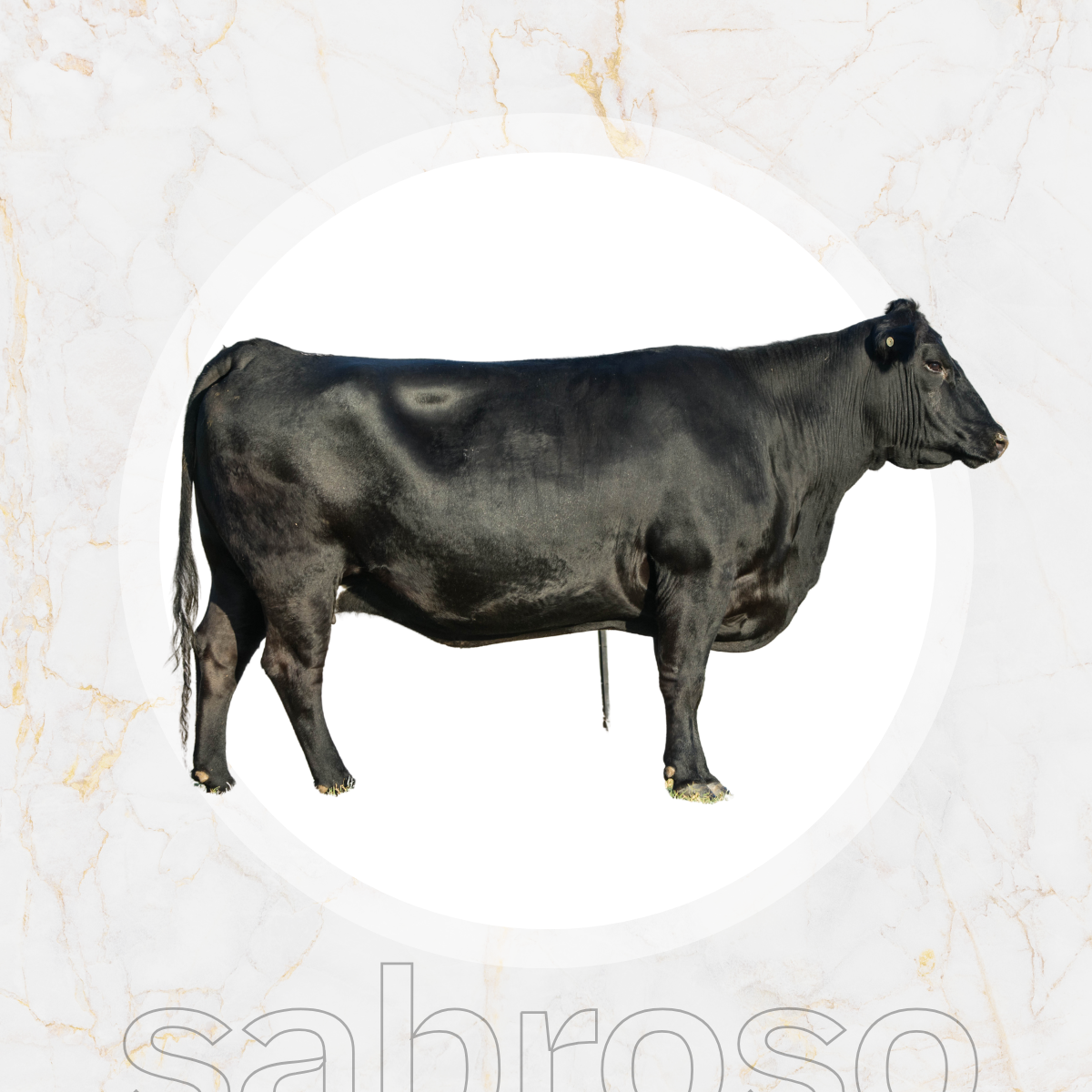TOURNEDOS