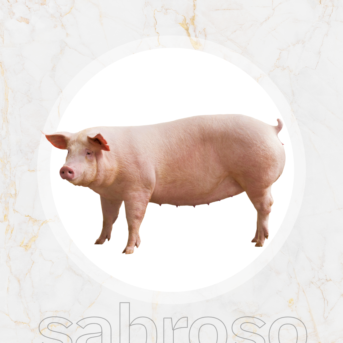 SPARERIBS