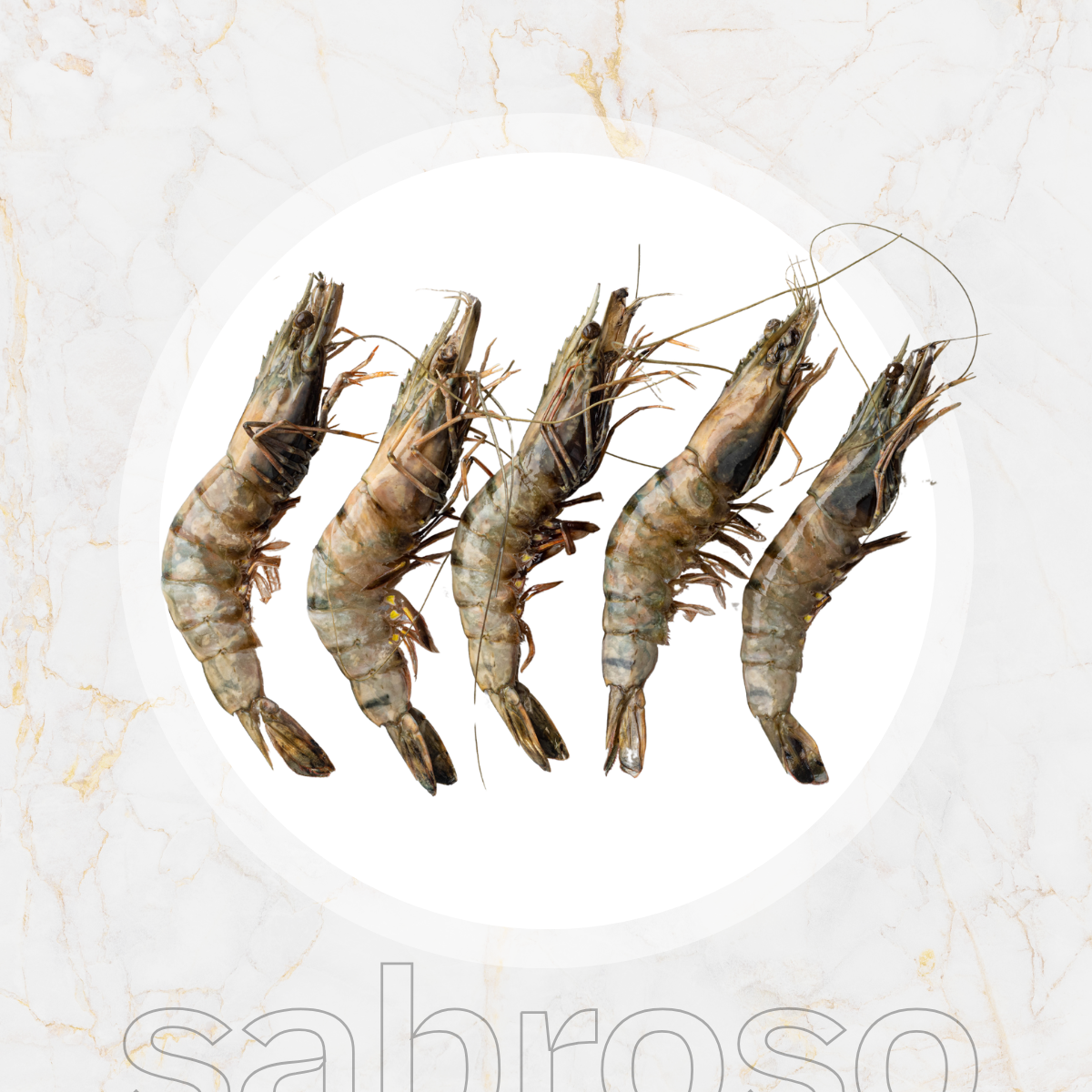 Wilde Black tiger gamba