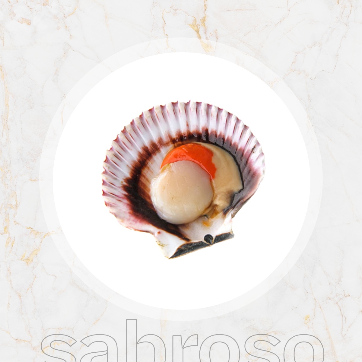 COQUILLES