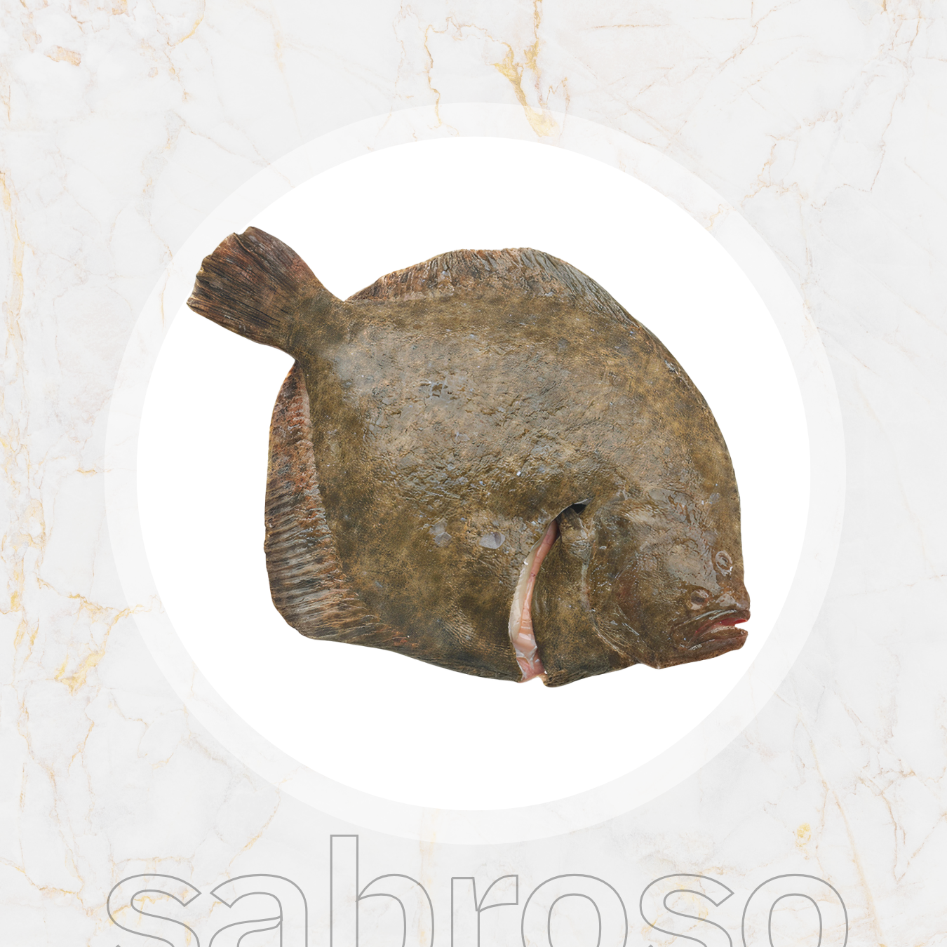 TARBOT